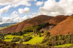 IMG_6635-Pano
