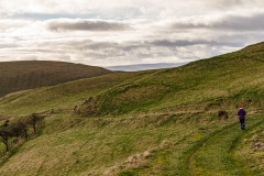 IMG_6783-Pano